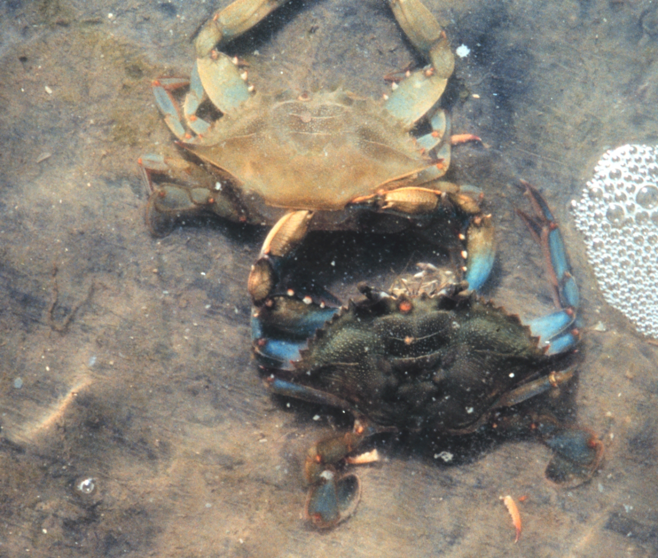 Photo #8 of 8 (Image credit: Mary Hollinger) Photo #8 of 8
