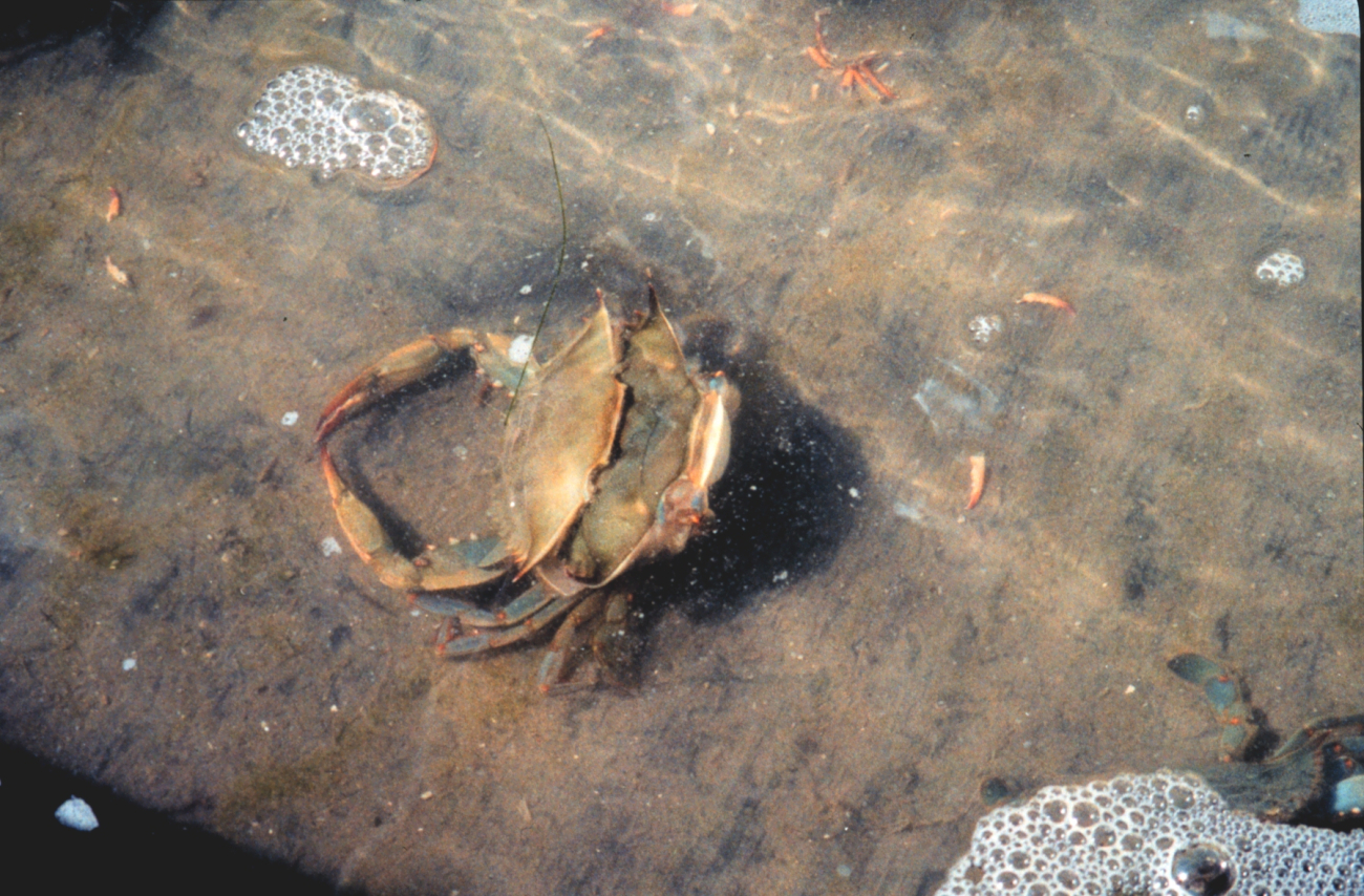 Photo #3 of 8 (Image credit: Mary Hollinger) Photo #3 of 8