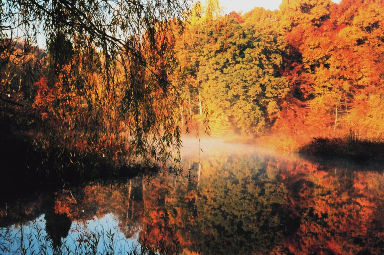 Early morning fog and autumn colors reflected in the Patuxent River at Wayson'sCorner (Image credit: Mary Hollinger) Early morning fog and autumn colors reflected in the Patuxent River at Wayson'sCorner