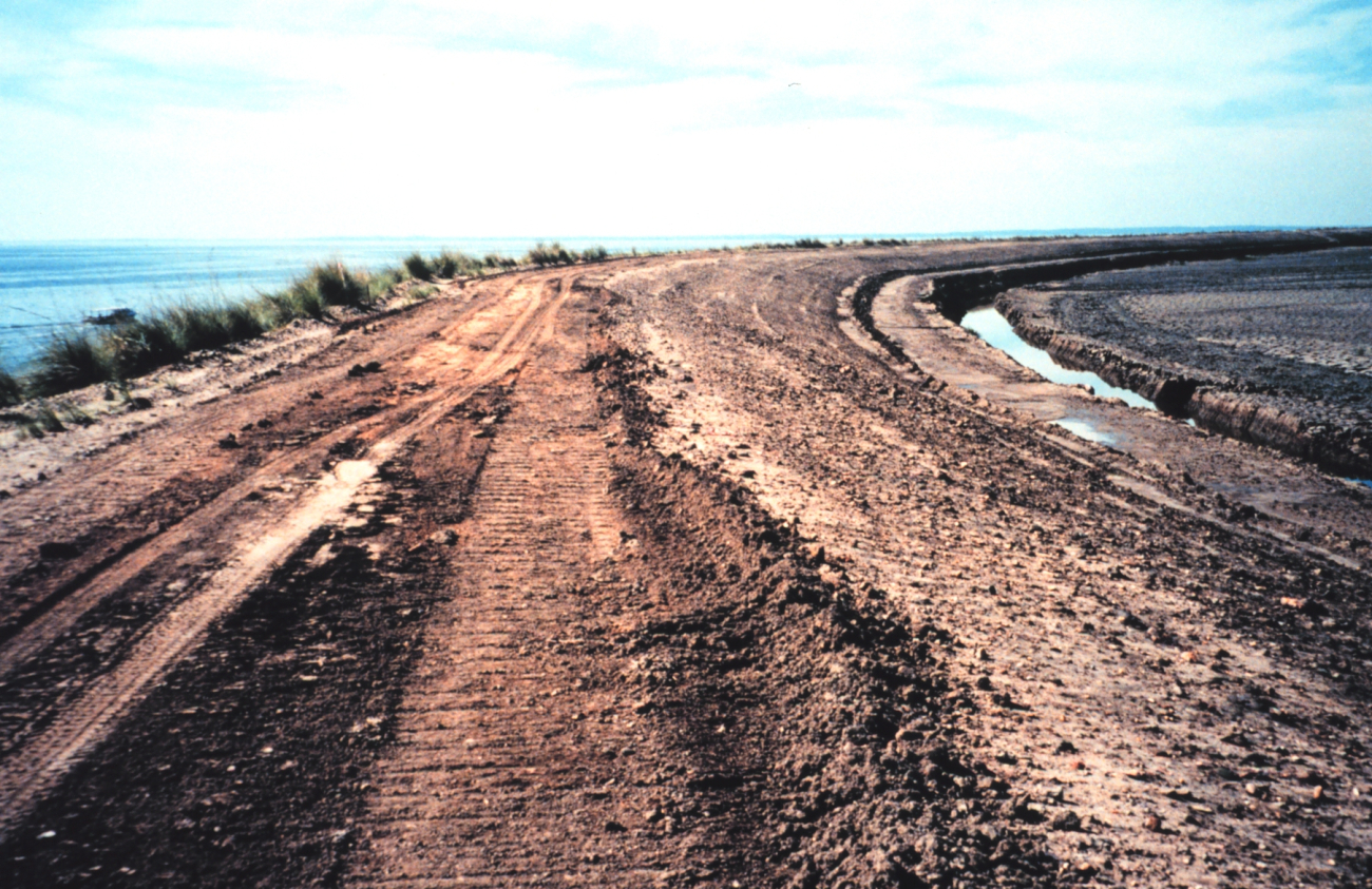 Hart-Miller Island, once two islands that nearly eroded into extinction, are now one (Image credit: Mary Hollinger) Hart-Miller Island, once two islands that nearly eroded into extinction, are now one