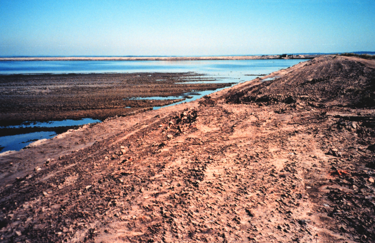Hart-Miller Island, once two islands that nearly eroded into extinction, are now one (Image credit: Mary Hollinger) Hart-Miller Island, once two islands that nearly eroded into extinction, are now one