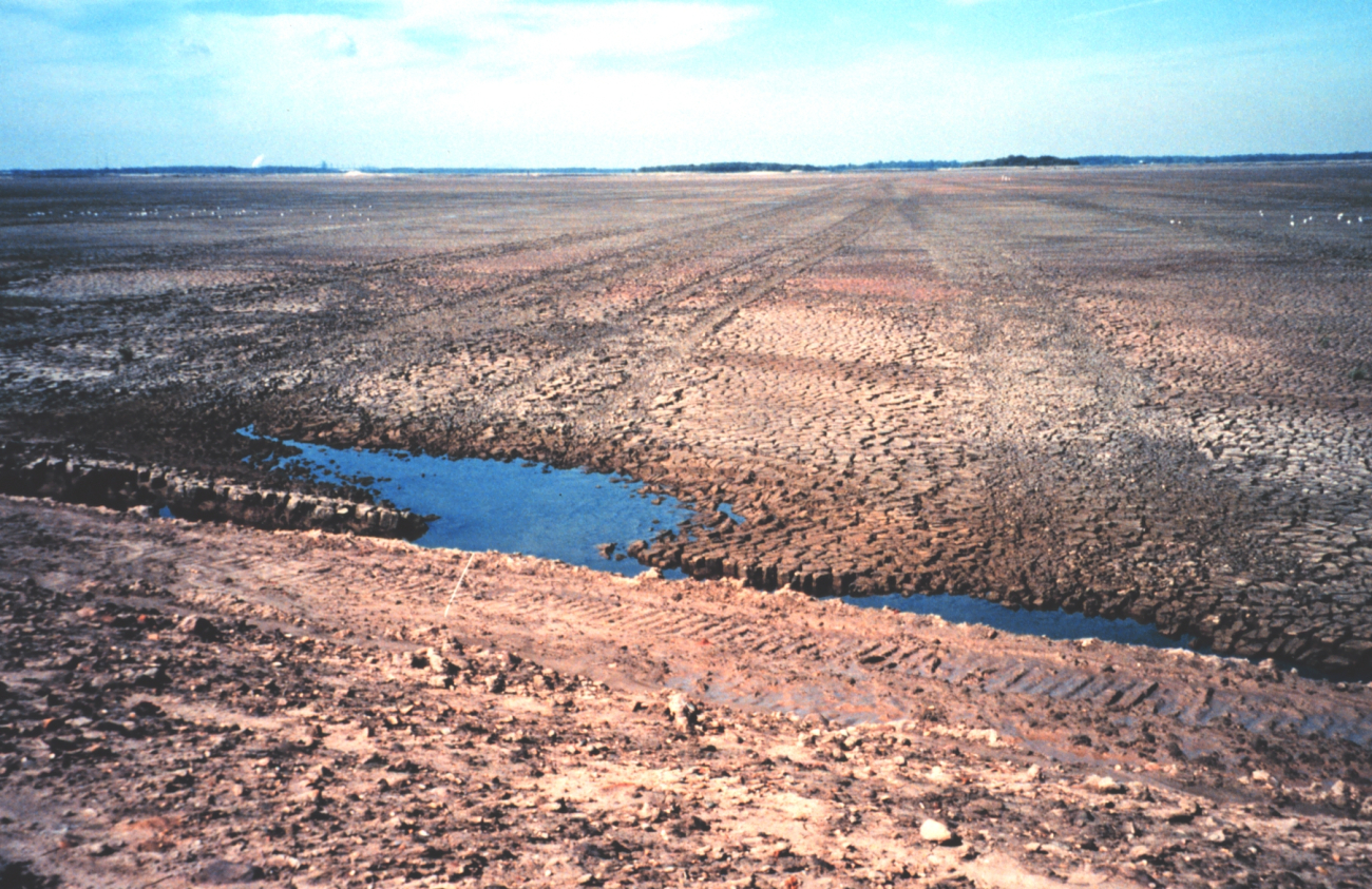 Hart-Miller Island, once two islands that nearly eroded into extinction, are now one (Image credit: Mary Hollinger) Hart-Miller Island, once two islands that nearly eroded into extinction, are now one