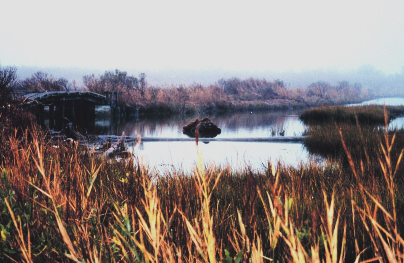 Early morning fog over a Port Isobel Island marsh (Image credit: Mary Hollinger) Early morning fog over a Port Isobel Island marsh