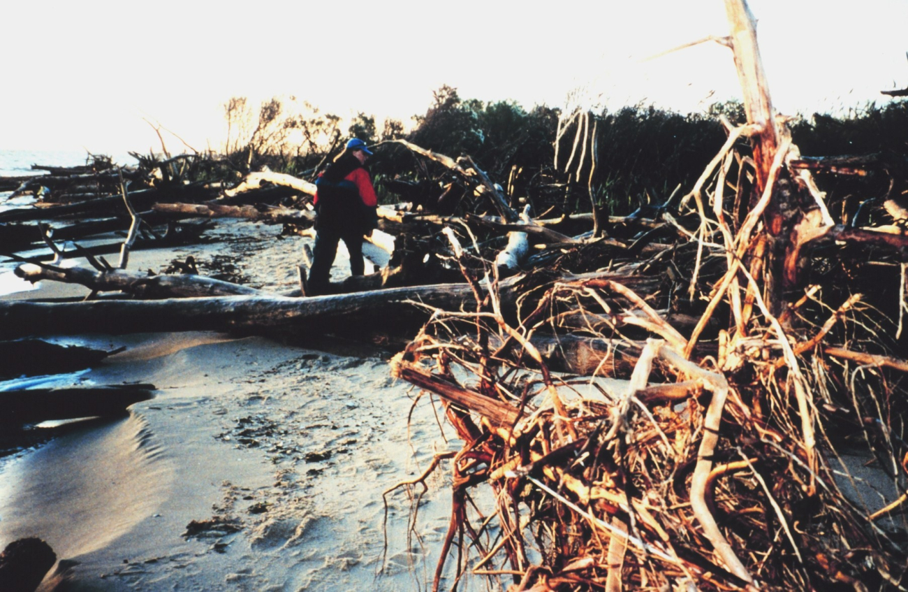 Erosion damage to Port Isobel Island as a result of Hurricane Floyd (Image credit: Mary Hollinger) Erosion damage to Port Isobel Island as a result of Hurricane Floyd
