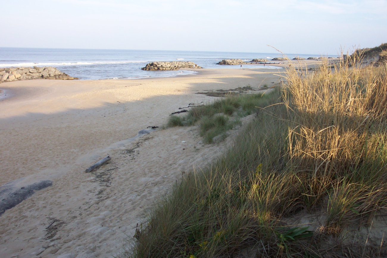 Rock barriers in the surf while erosion barriers are seen at the base of thedunes (Image credit: Captain Albert E. Theberge) Rock barriers in the surf while erosion barriers are seen at the base of thedunes