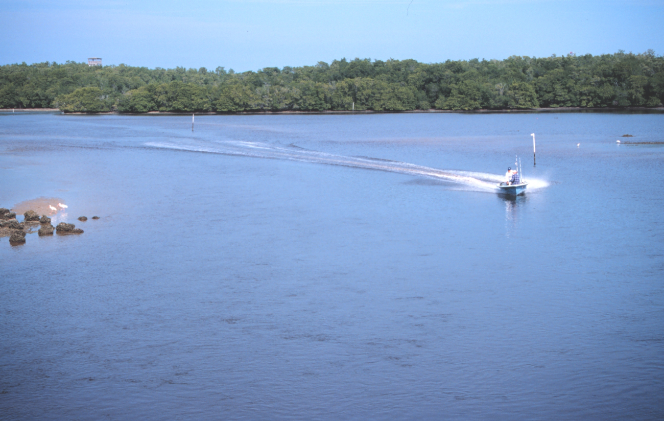 A recreational fisherman cutting a swath through the waterways (Image credit: Mr. William Folsom) A recreational fisherman cutting a swath through the waterways