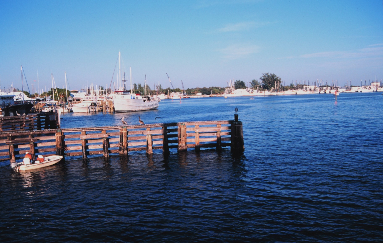 Shrimp boats docked along the Caloosahatchee River (Image credit: Mr. William Folsom) Shrimp boats docked along the Caloosahatchee River