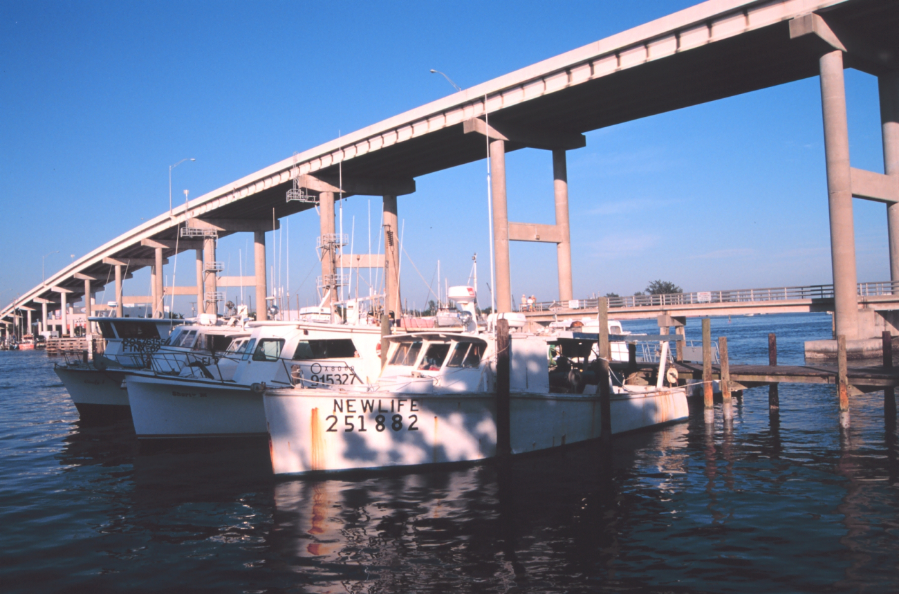 Shrimp trawlers at Snug Harbor along the Caloosahatchee River (Image credit: Mr. William Folsom) Shrimp trawlers at Snug Harbor along the Caloosahatchee River