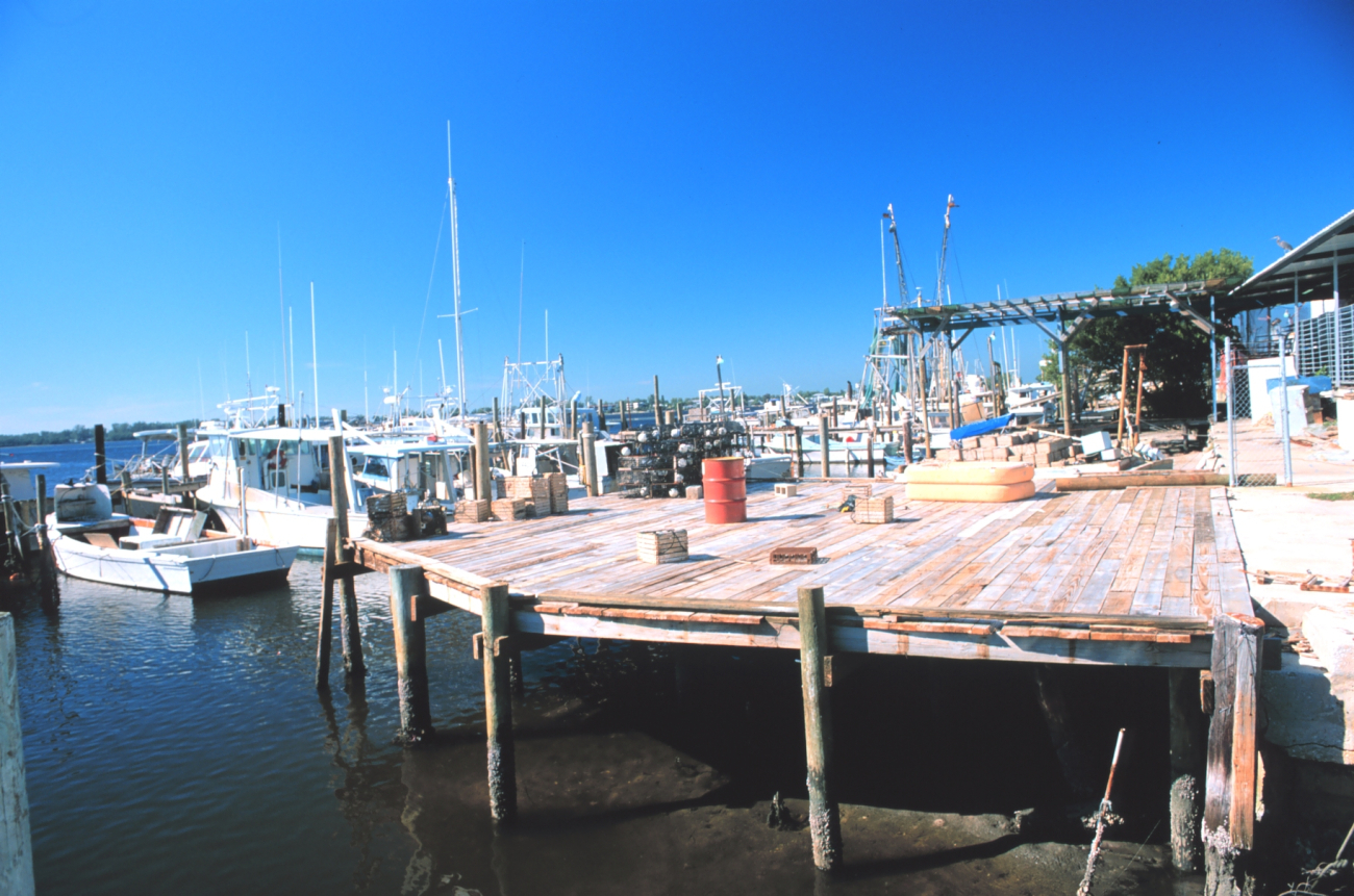 Shrimp, snapper, grouper, and stone crab fishing boats at A (Image credit: Mr. William Folsom) Shrimp, snapper, grouper, and stone crab fishing boats at A
