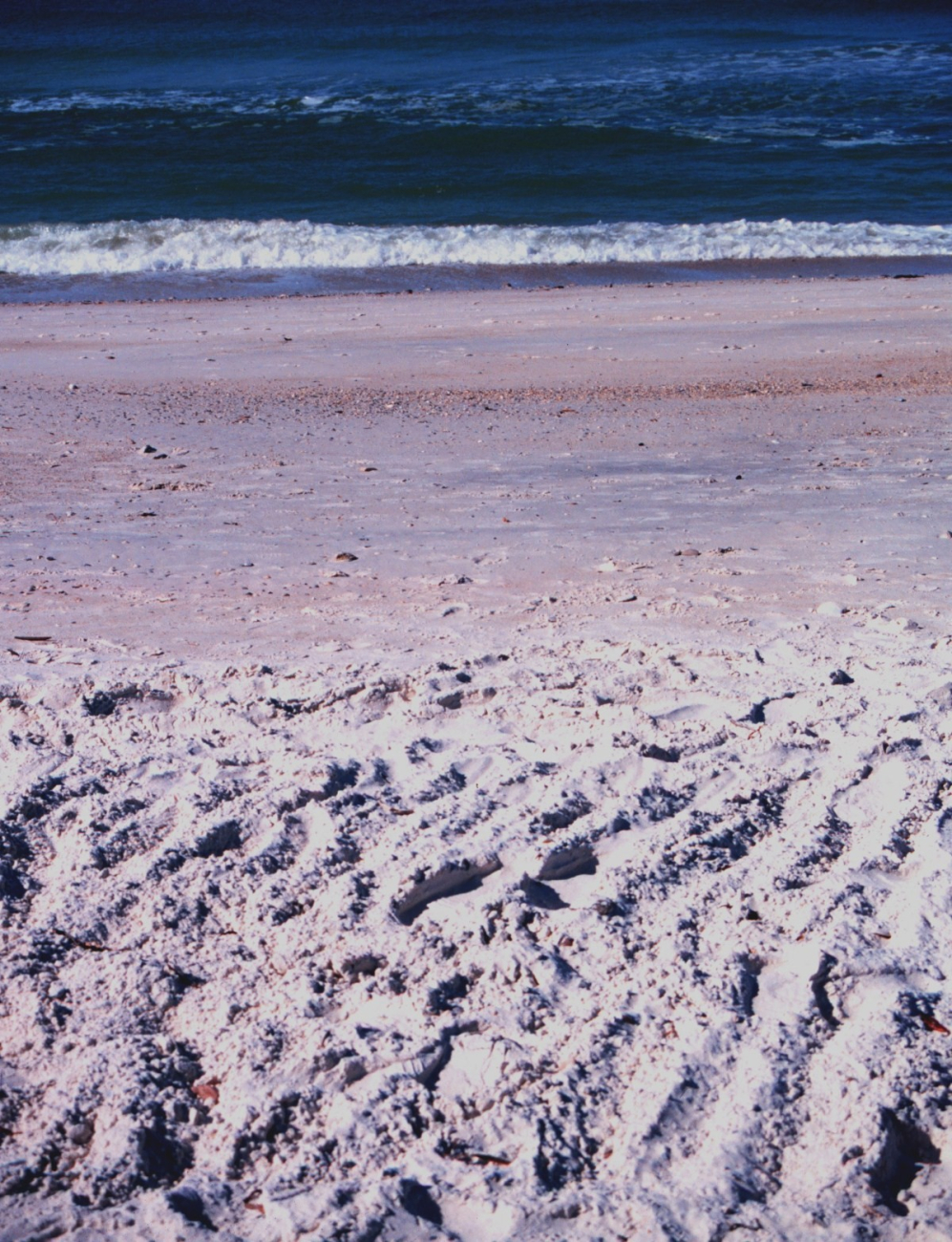 A view of the beach along the Gulf of Mexico (Image credit: Mr. William Folsom) A view of the beach along the Gulf of Mexico