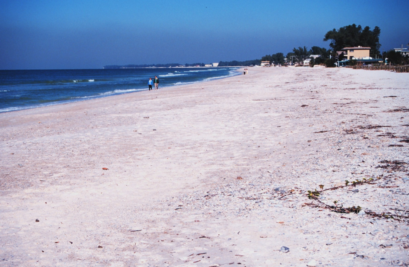 A view of the beach along the Gulf of Mexico (Image credit: Mr. William Folsom) A view of the beach along the Gulf of Mexico