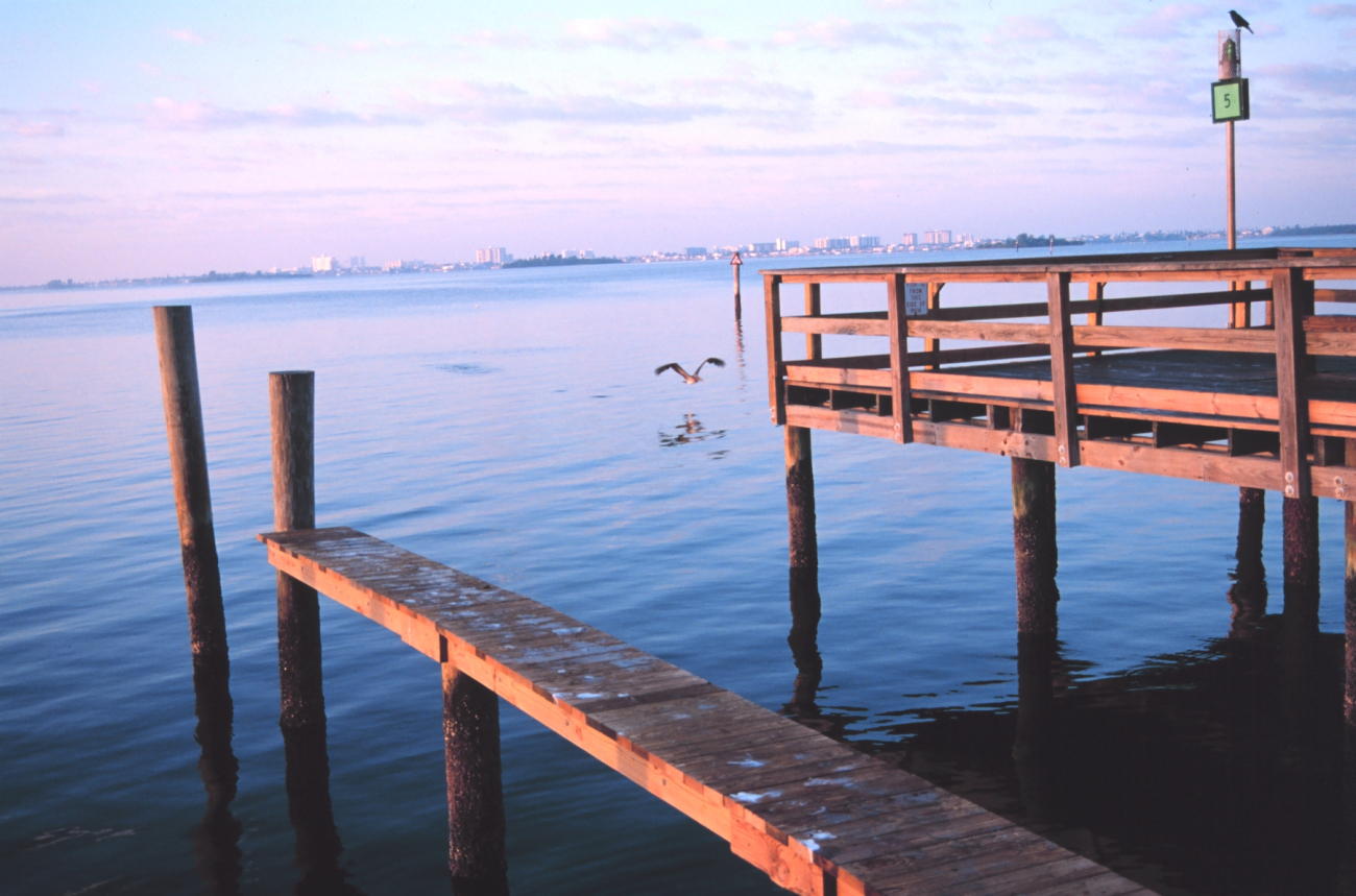 Clearwater, Florida, seen in the distance from a fishing marina (Image credit: Mr. William Folsom) Clearwater, Florida, seen in the distance from a fishing marina