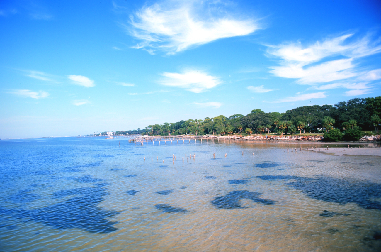 The shoreline at high tide (Image credit: Mr. William Folsom) The shoreline at high tide