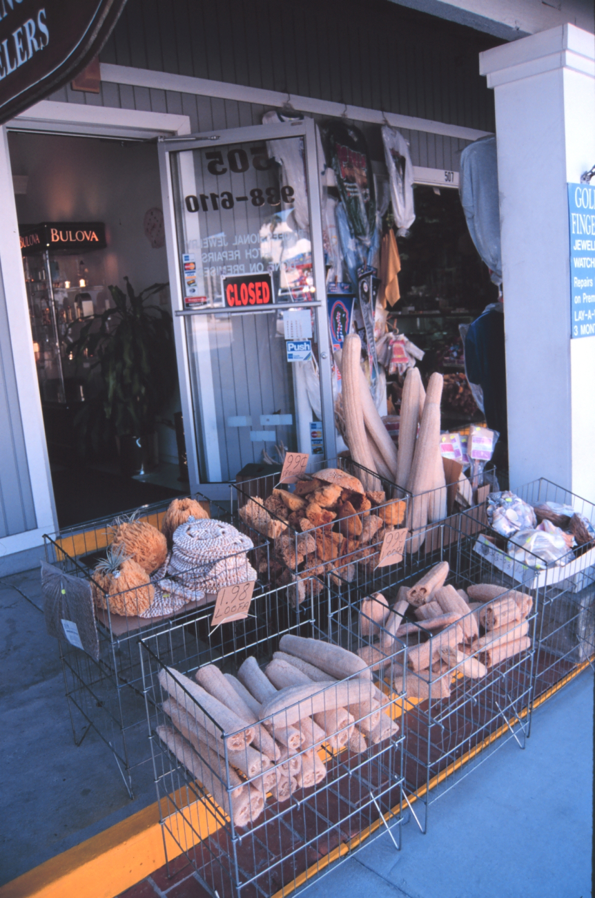 Sponges and other paraphernalia of the sponge industry in a tourist market (Image credit: Mr. William Folsom) Sponges and other paraphernalia of the sponge industry in a tourist market