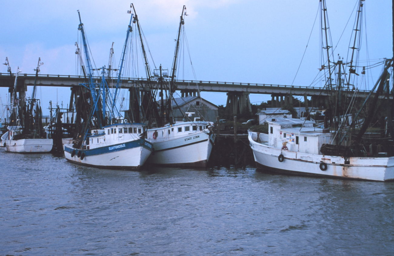 Shrimpers tied up at the Lazaretto Creek Bridge (Image credit: Mr. William Folsom) Shrimpers tied up at the Lazaretto Creek Bridge