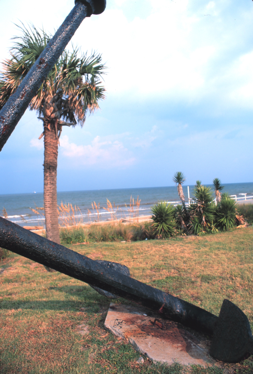 Palmetto trees (Sabal palmetto) as seen through an old anchor