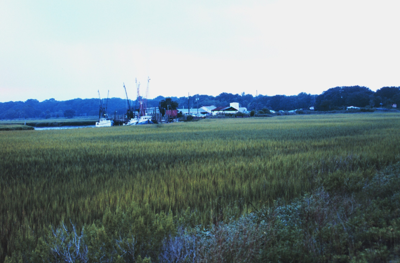 View across marsh of a small fishing village on Route 80 (Image credit: Mr. William Folsom) View across marsh of a small fishing village on Route 80