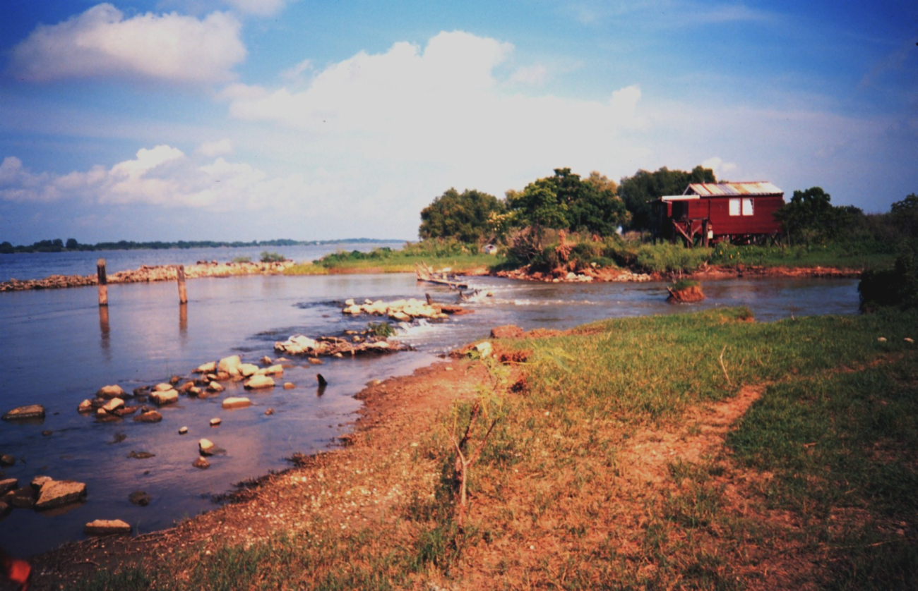 Mississippi River levee with river water coming through and flowing to a marsheast of the river (Image credit: Dr. Terry McTigue) Mississippi River levee with river water coming through and flowing to a marsheast of the river