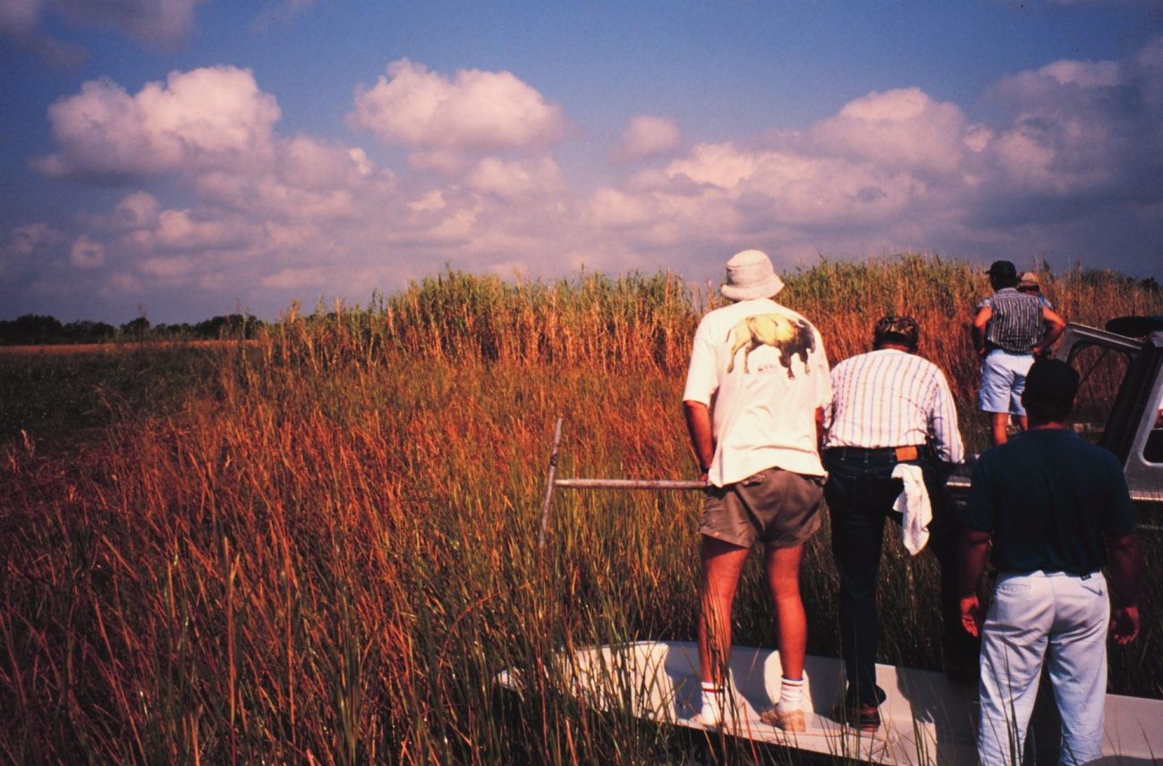Wetland scientists evaluating potential marsh restoration project (Image credit: Dr. Terry McTigue) Wetland scientists evaluating potential marsh restoration project
