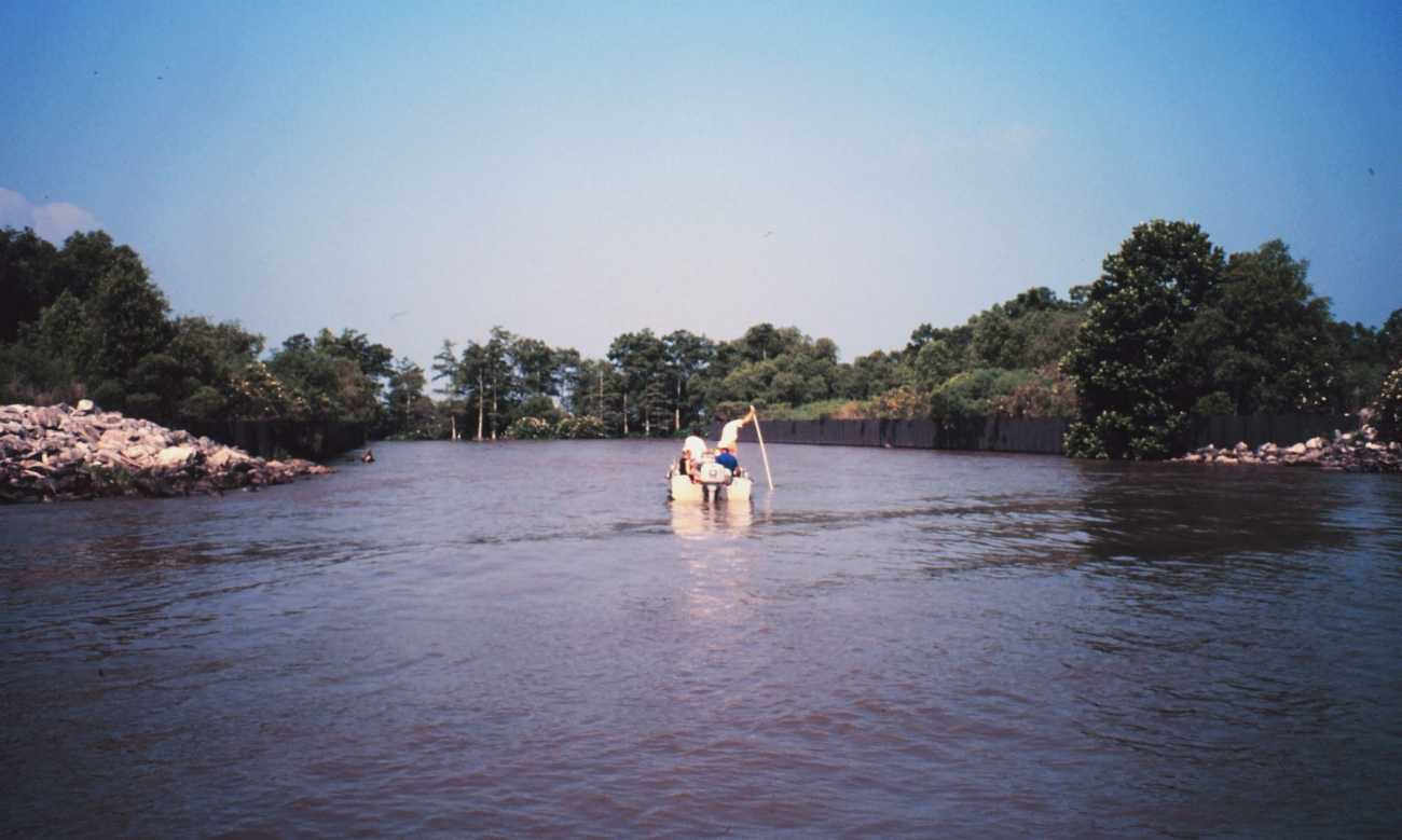 Cut through Mississippi River levee to allow fresh water to flow into adjacentcypress swamp (Image credit: Dr. Terry McTigue) Cut through Mississippi River levee to allow fresh water to flow into adjacentcypress swamp