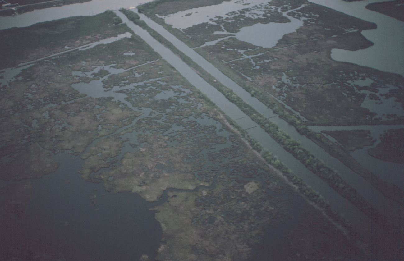 Subsiding marsh and man-made canals south of New Orleans (Image credit: Dr. Terry McTigue) Subsiding marsh and man-made canals south of New Orleans