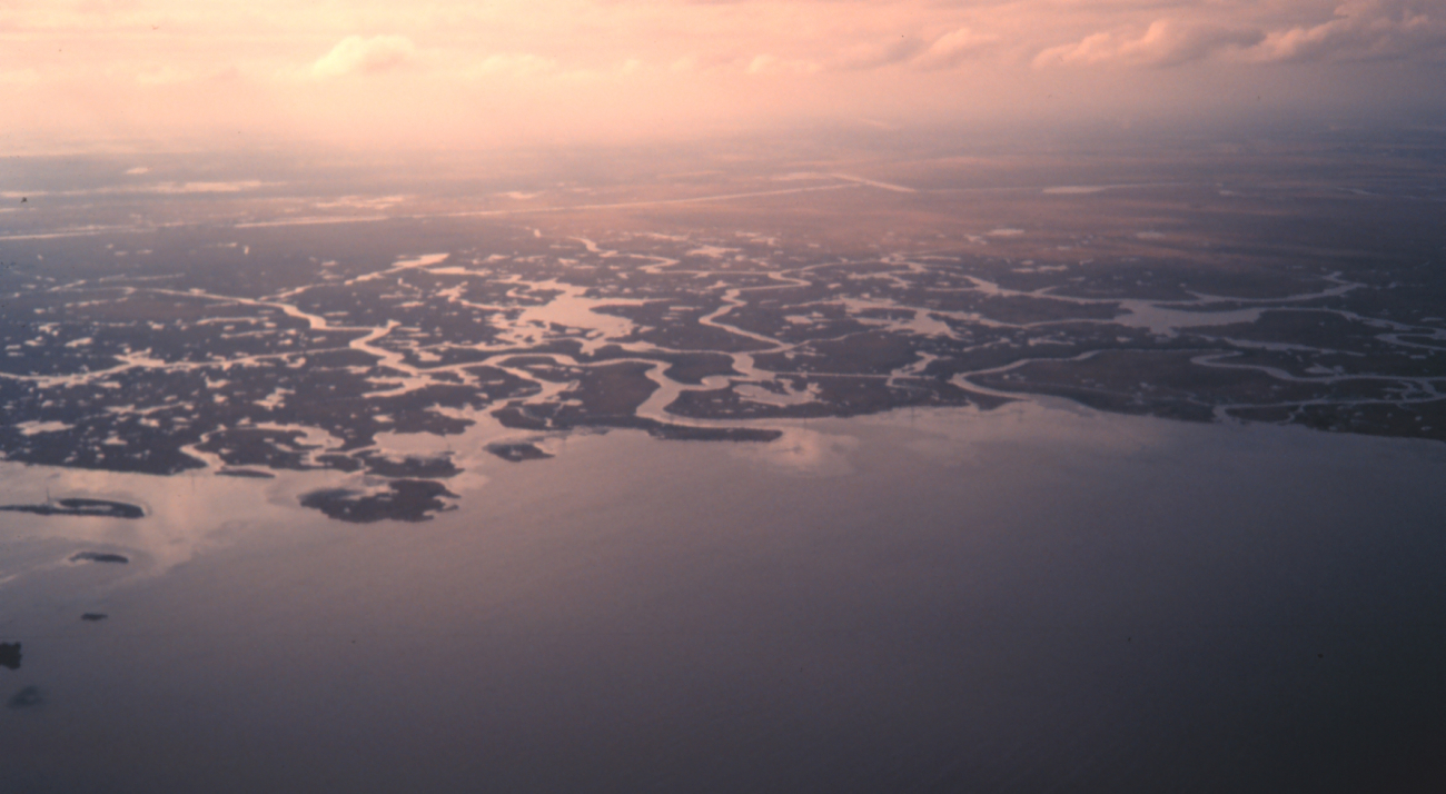A view of the wetlands adjacent to Barataria Bay south of New Orleans (Image credit: Dr. Terry McTigue) A view of the wetlands adjacent to Barataria Bay south of New Orleans