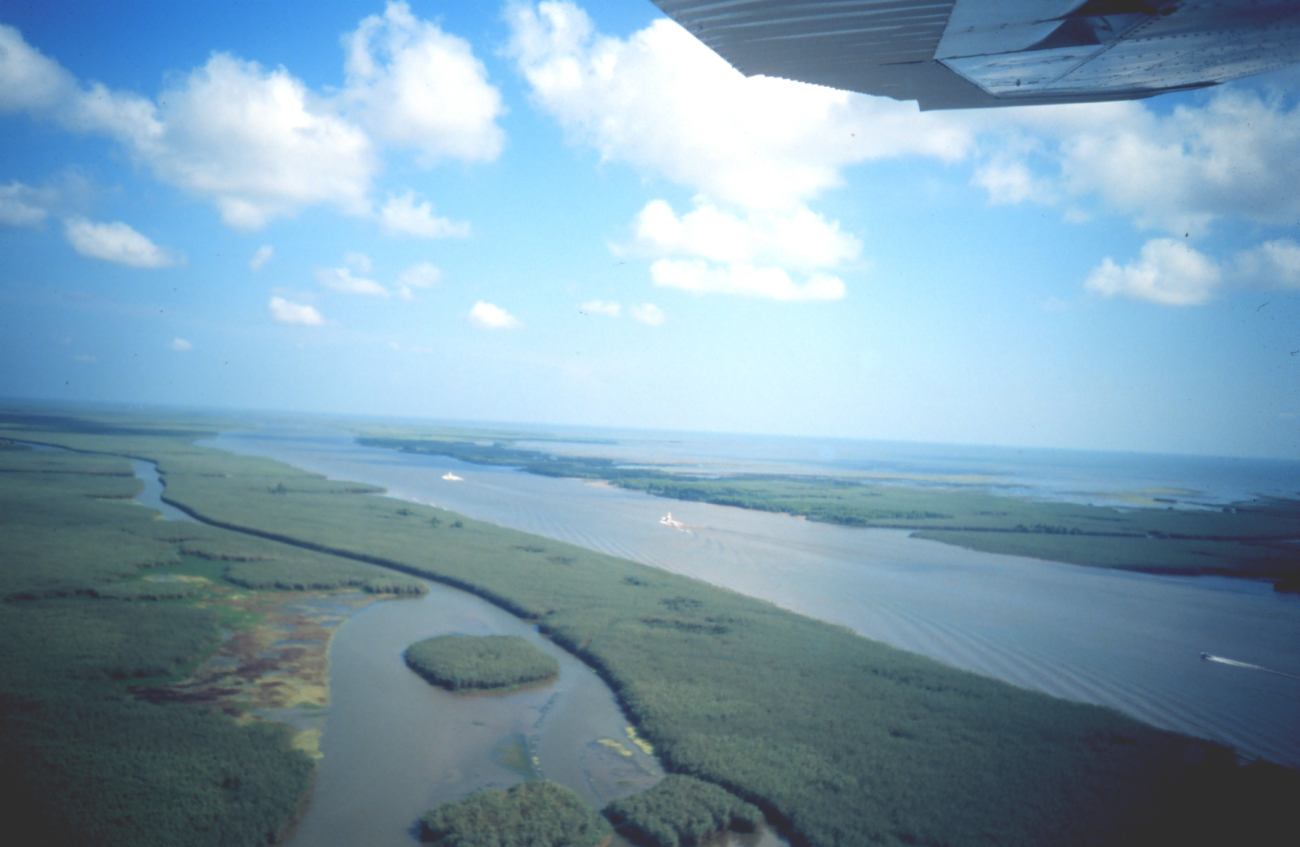 Aerial view of Pass a Loutre (Image credit: Dr. Terry McTigue) Aerial view of Pass a Loutre