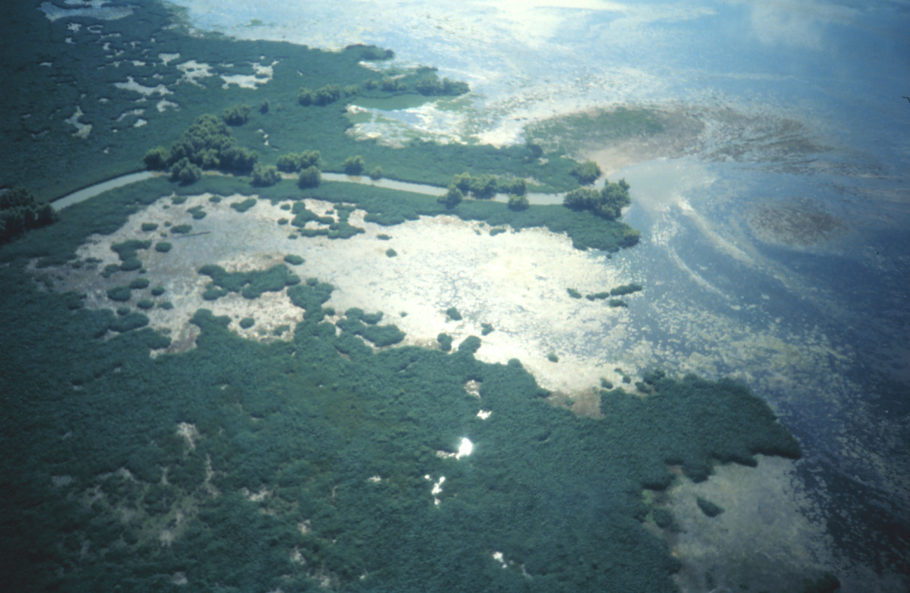 Aerial view of interior Mississippi Delta marshes (Image credit: Dr. Terry McTigue) Aerial view of interior Mississippi Delta marshes