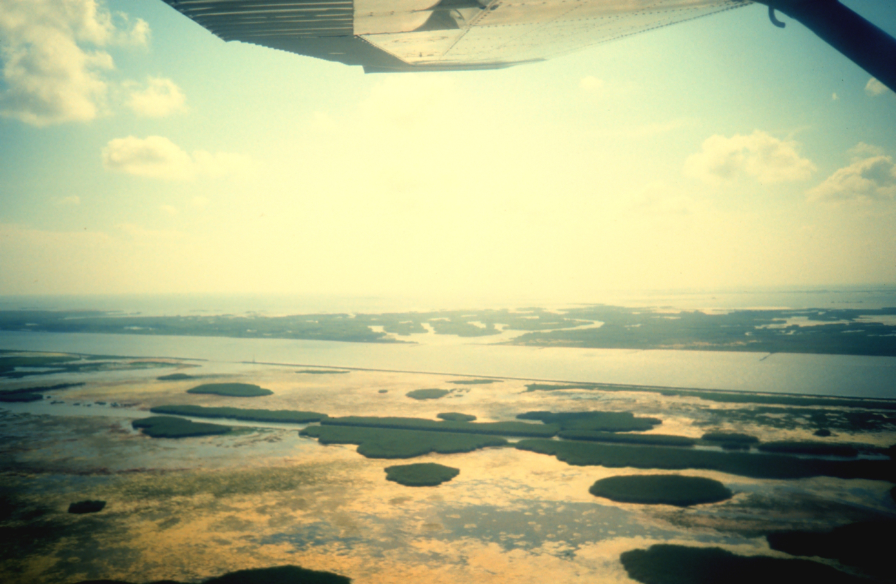 Aerial view of Mississippi Delta wetlands adjacent to Pass a Loutre (Image credit: Dr. Terry McTigue) Aerial view of Mississippi Delta wetlands adjacent to Pass a Loutre