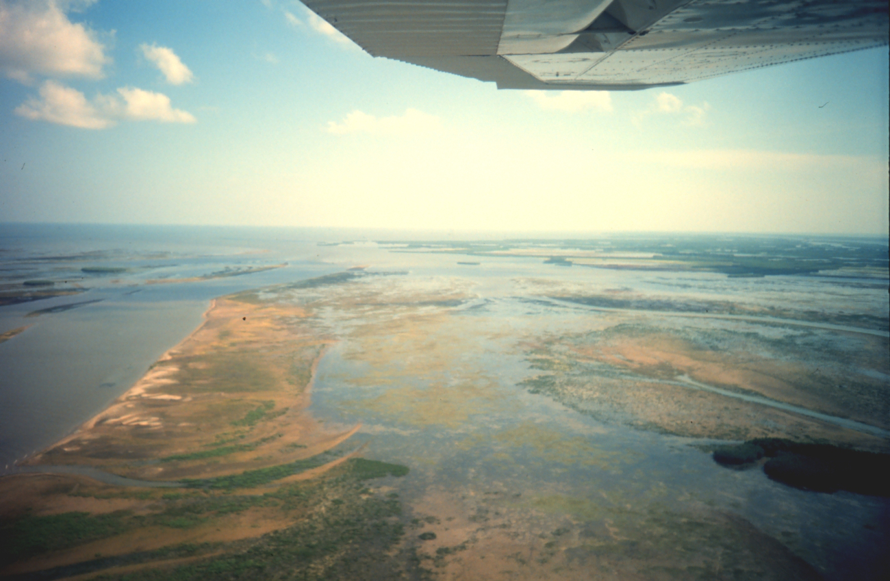 Aerial view of Mississippi Delta wetlands adjacent to Pass a Loutre (Image credit: Dr. Terry McTigue) Aerial view of Mississippi Delta wetlands adjacent to Pass a Loutre