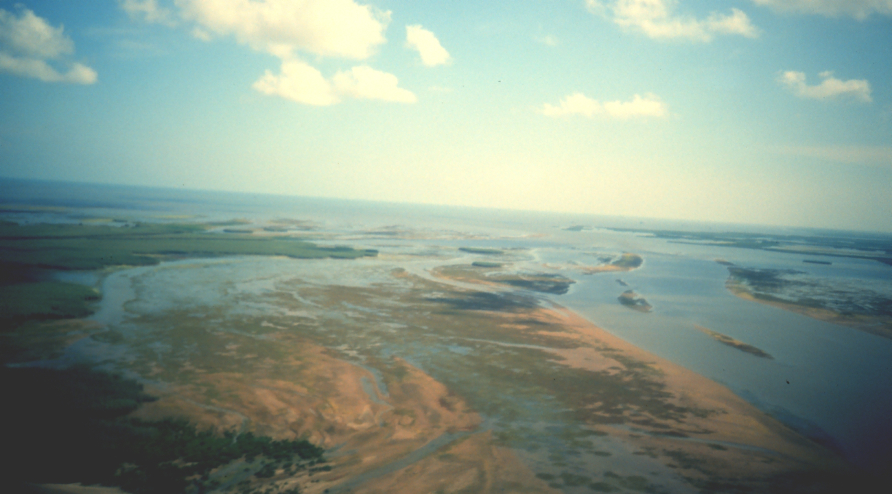 Aerial view of Mississippi Delta wetlands adjacent to Pass a Loutre (Image credit: Dr. Terry McTigue) Aerial view of Mississippi Delta wetlands adjacent to Pass a Loutre