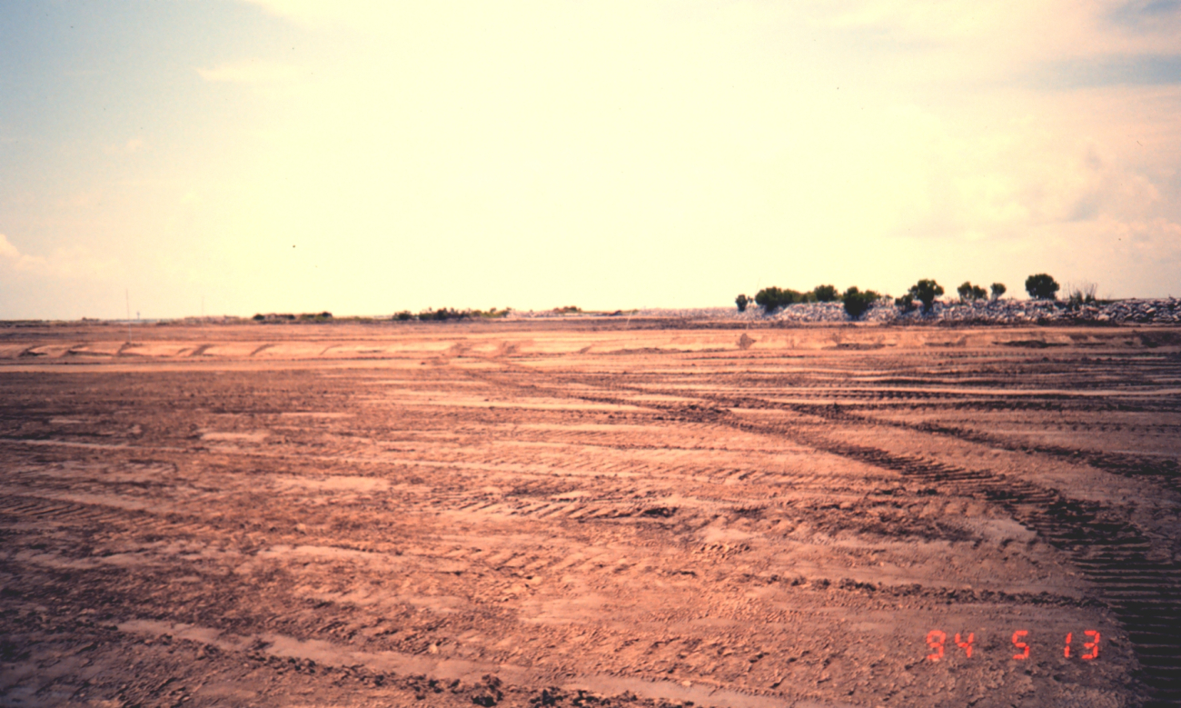 New land created by dredging operation will be planted with Spartinaalterniflora, smooth cordgrass (Image credit: Dr. Terry McTigue) New land created by dredging operation will be planted with Spartinaalterniflora, smooth cordgrass