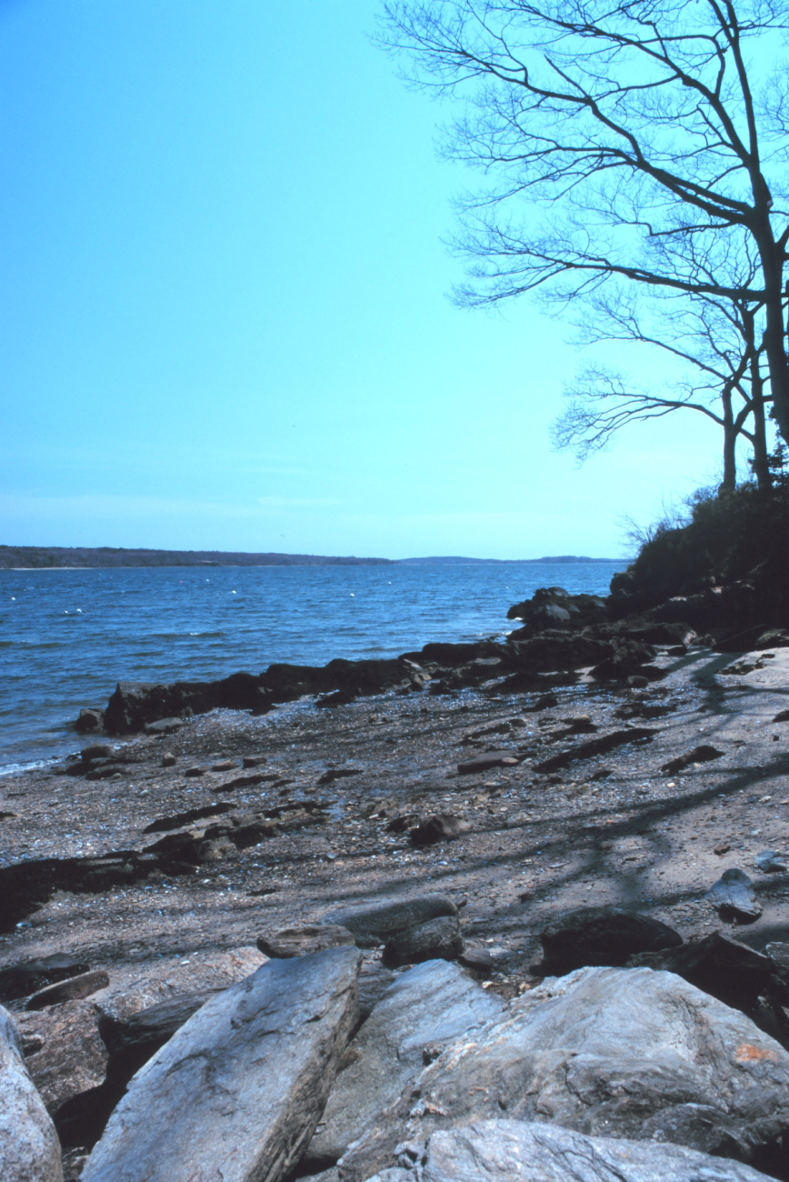 Maine is known for its rocky shoreline (Image credit: Mr. William Folsom) Maine is known for its rocky shoreline