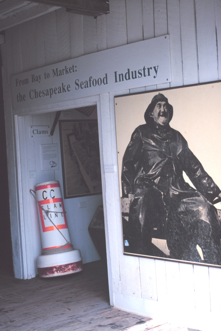 A section of the Chesapeake Bay Maritime Museum at St (Image credit: Mr. William Folsom) A section of the Chesapeake Bay Maritime Museum at St