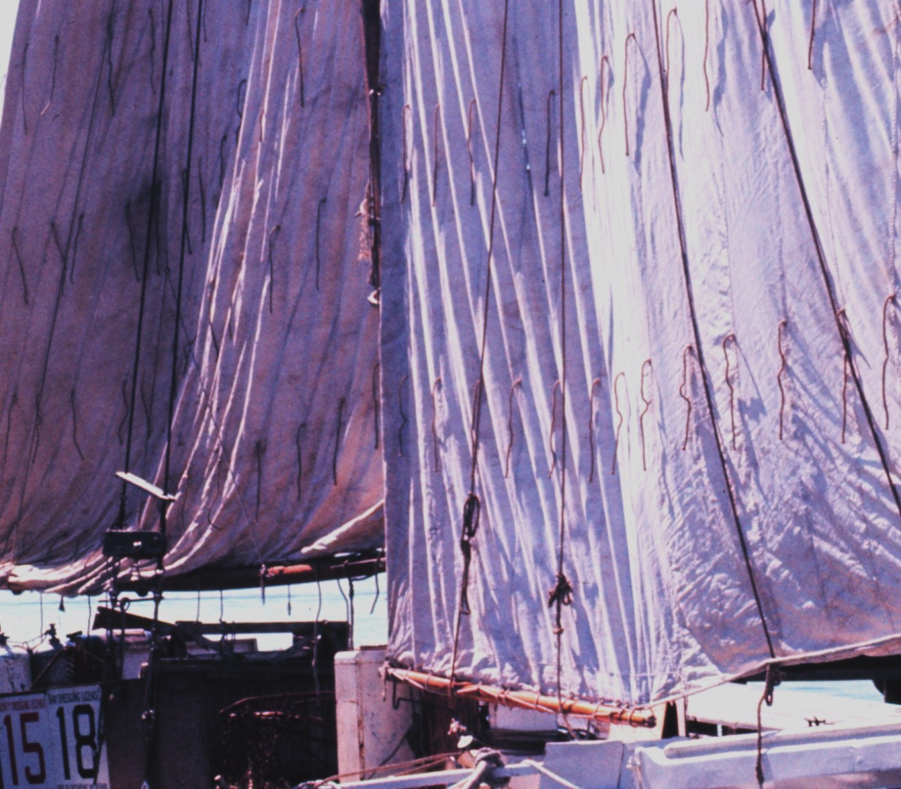 Sailing oyster dredgers drying their sails alongside the dock line1334.jpg Sailing oyster dredgers drying their sails alongside the dock