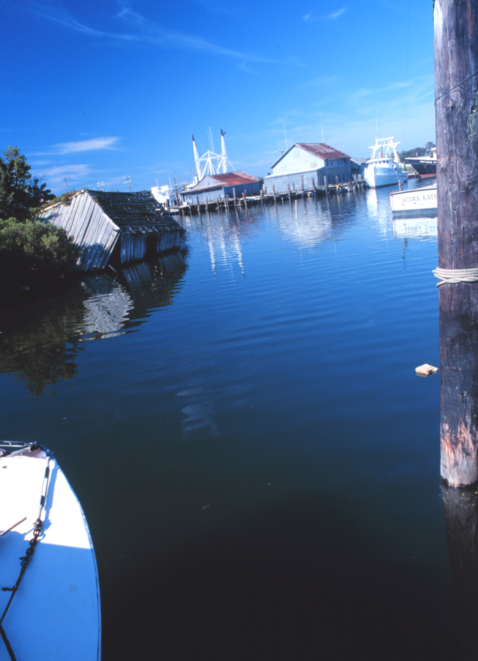 A view of the fishing port