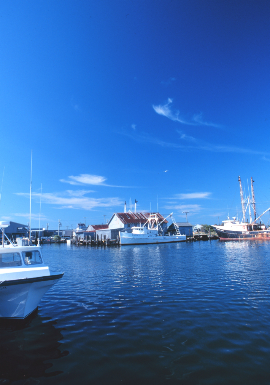 A view of the fishing port (Image credit: Mr. William Folsom) A view of the fishing port