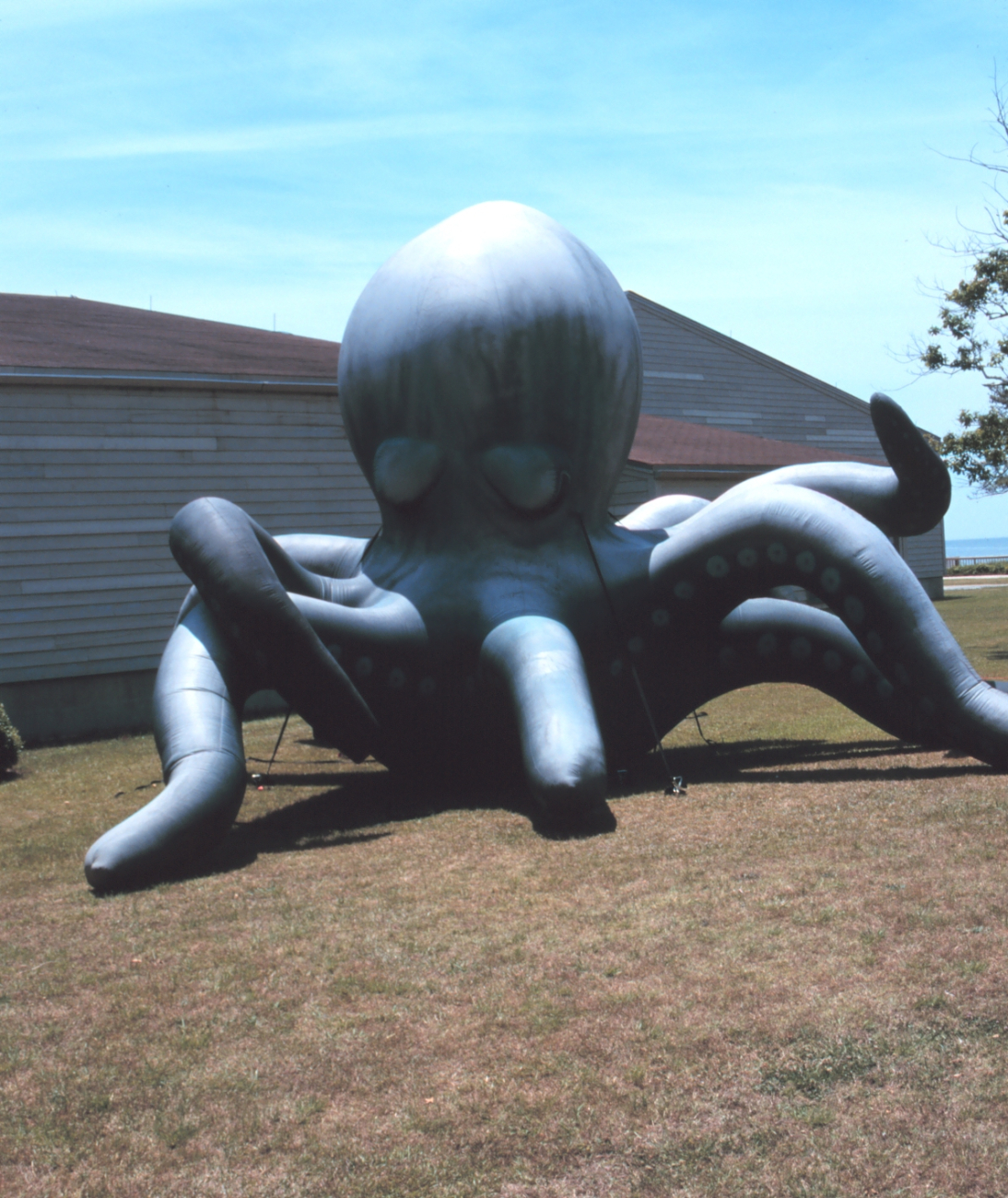 Fish art - a sculpture of an octopus at the Roanoke Island Aquarium line1388.jpg Fish art - a sculpture of an octopus at the Roanoke Island Aquarium