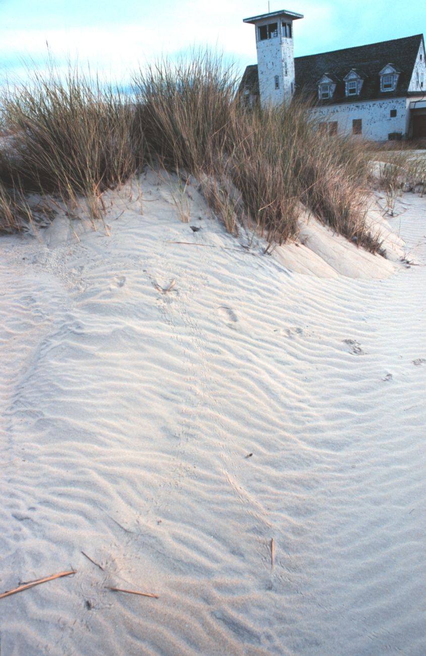 Wind-swept dunes near the abandoned Coast Guard Station (Image credit: Mr. William Folsom) Wind-swept dunes near the abandoned Coast Guard Station