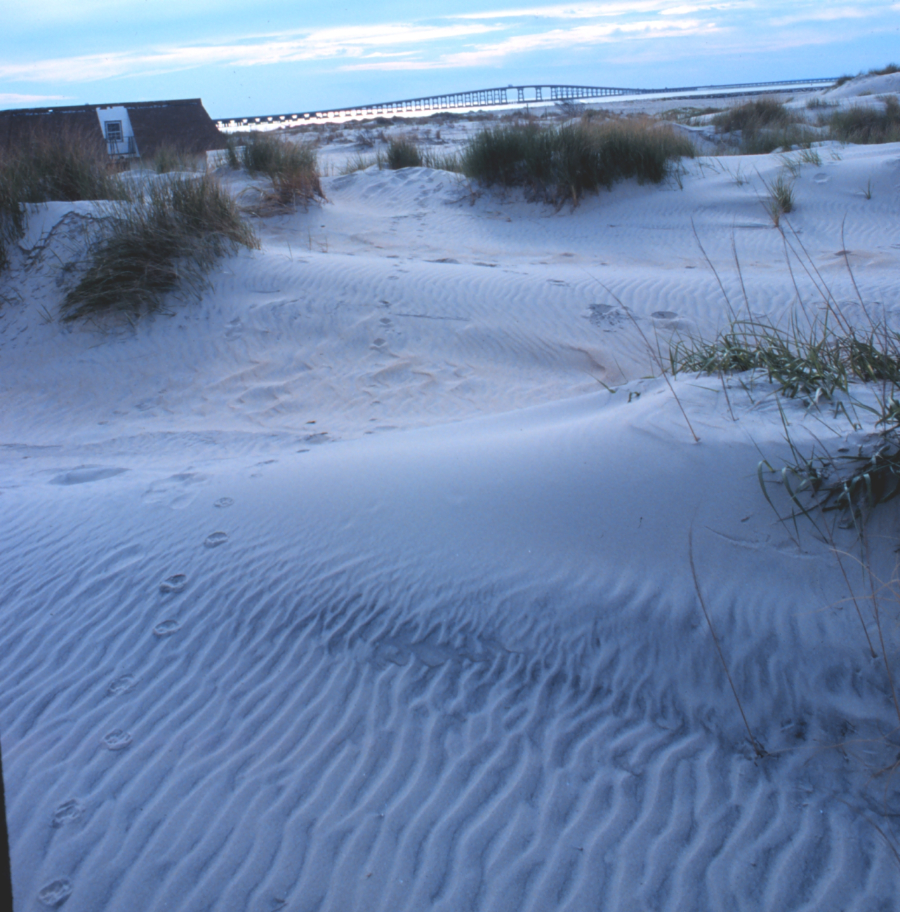 Wind-swept dunes near the abandoned Coast Guard Station (Image credit: Mr. William Folsom) Wind-swept dunes near the abandoned Coast Guard Station