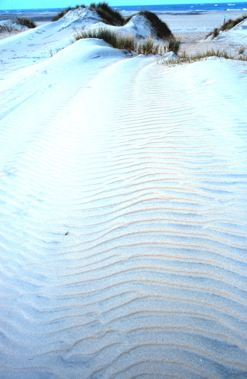 Wind-swept dunes near the abandoned Coast Guard Station (Image credit: Mr. William Folsom) Wind-swept dunes near the abandoned Coast Guard Station