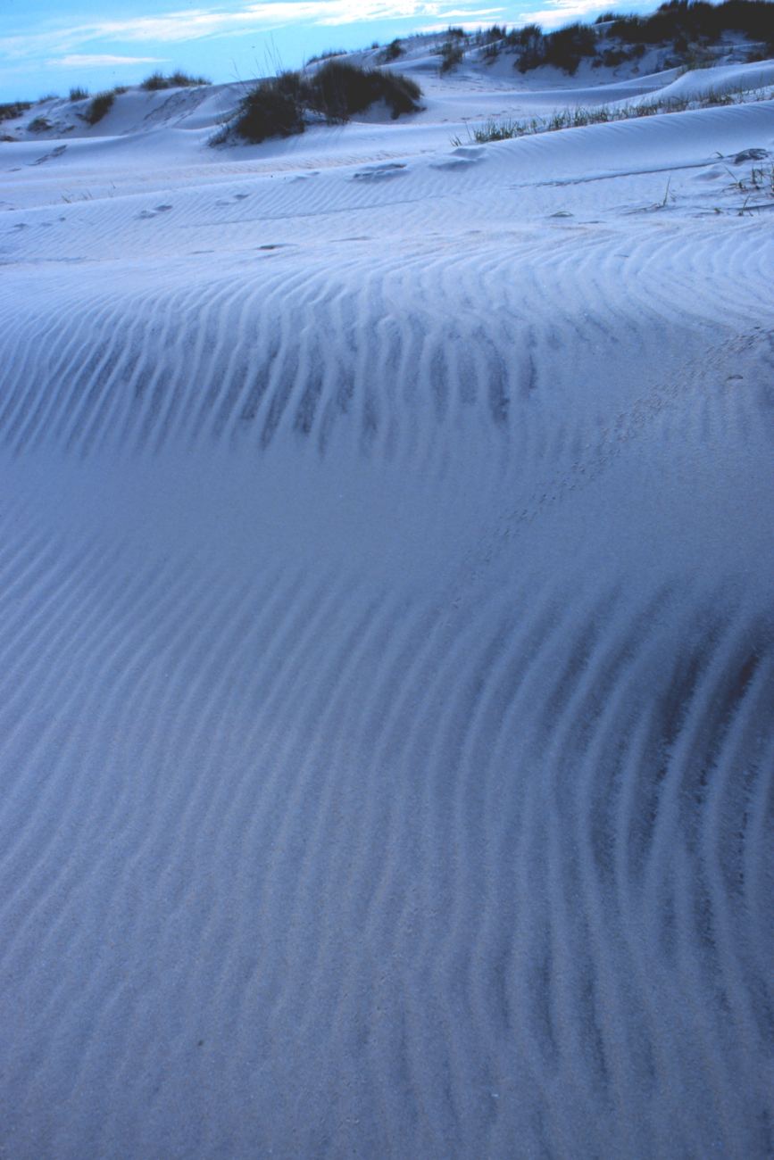 Wind-swept dunes near the abandoned Coast Guard Station (Image credit: Mr. William Folsom) Wind-swept dunes near the abandoned Coast Guard Station
