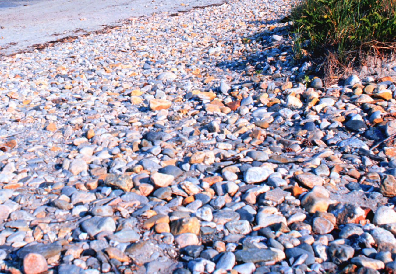 A pebbles on the beach near the port of Galilee (Image credit: Mr. William B. Folsom) A pebbles on the beach near the port of Galilee