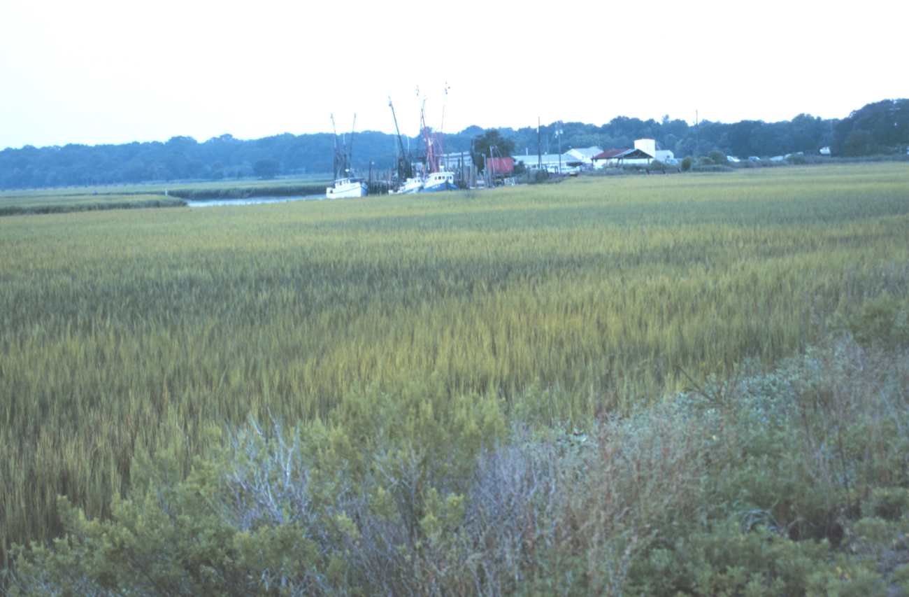 A small fishing village off Route 80 (Image credit: Mr. William B. Folsom) A small fishing village off Route 80