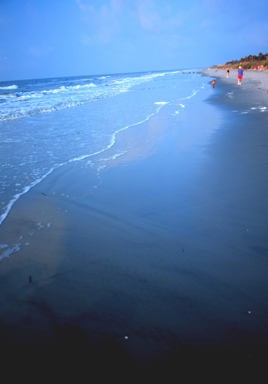 Gentle surf on the Folly Island Beach (Image credit: Mr. William B. Folsom) Gentle surf on the Folly Island Beach