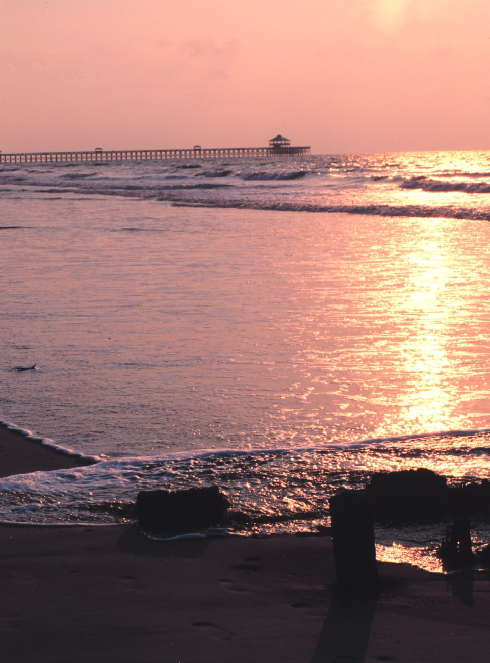 Sun rising through early morning haze reflecting in the surf (Image credit: Mr. William B. Folsom) Sun rising through early morning haze reflecting in the surf