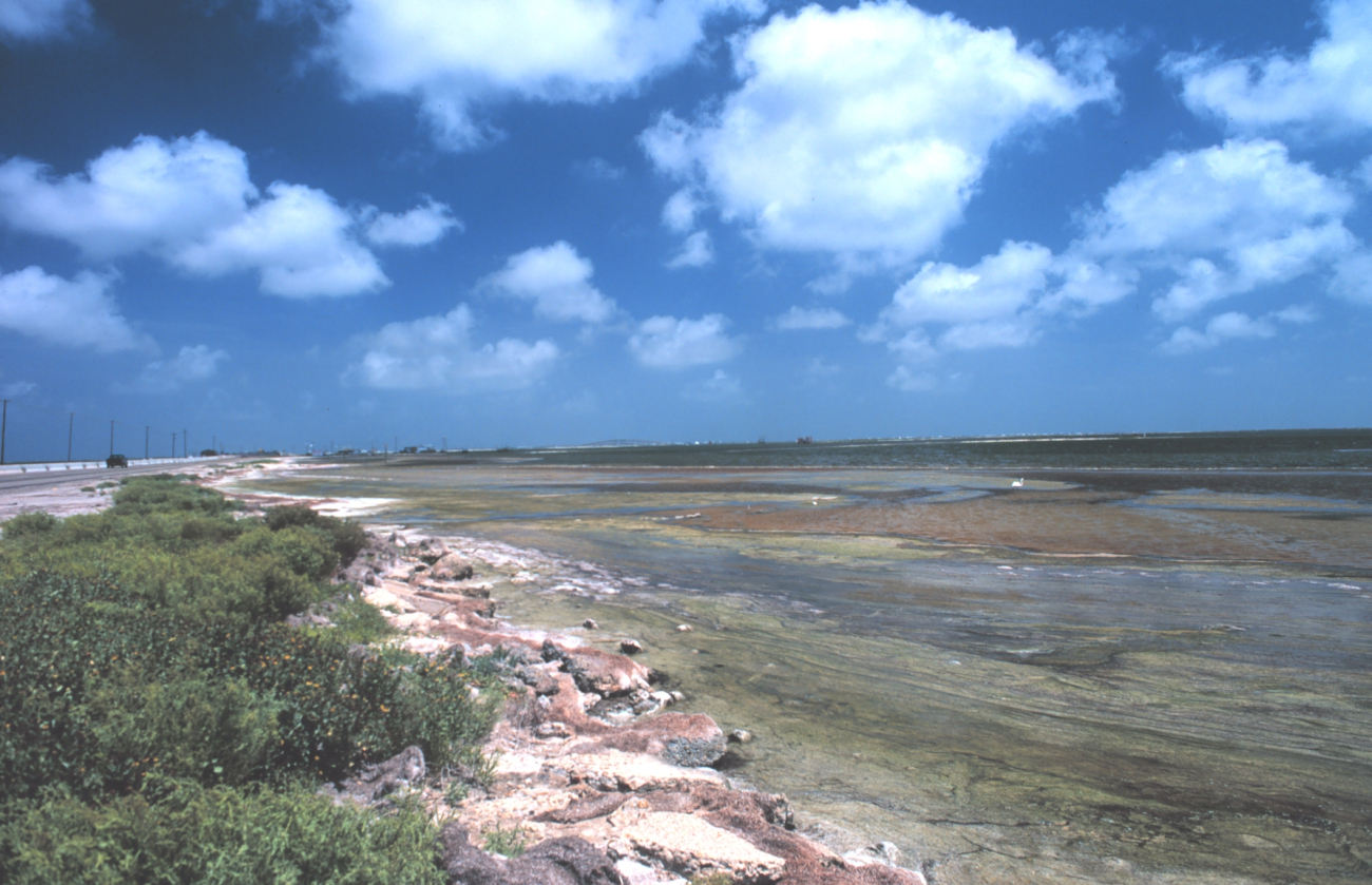 Part of Cayo del Oso Creek which empties into Corpus Christi Bay (Image credit: Mr. William B. Folsom) Part of Cayo del Oso Creek which empties into Corpus Christi Bay