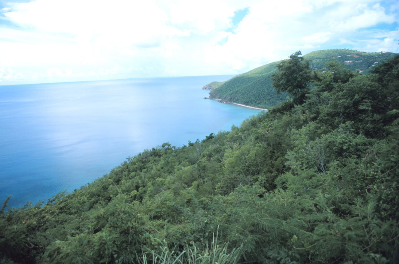 Westend Road overlook of Fortuna Bay (Image credit: Mr. William B. Folsom) Westend Road overlook of Fortuna Bay