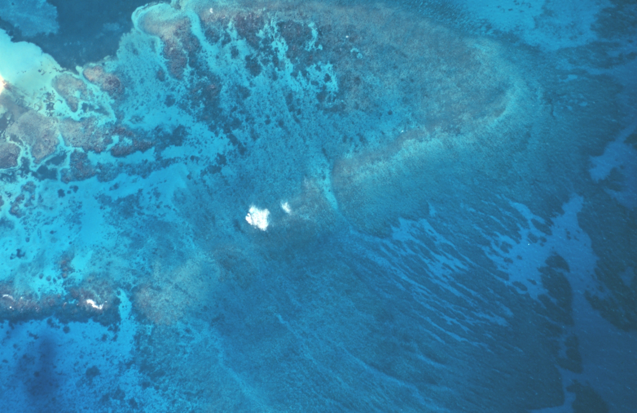 Aerial view of patterns in a coral reef (Image credit: Mr. Sean Linehan) Aerial view of patterns in a coral reef