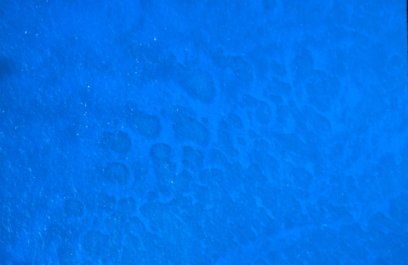 Aerial view of patterns in a coral reef (Image credit: Mr. Sean Linehan) Aerial view of patterns in a coral reef
